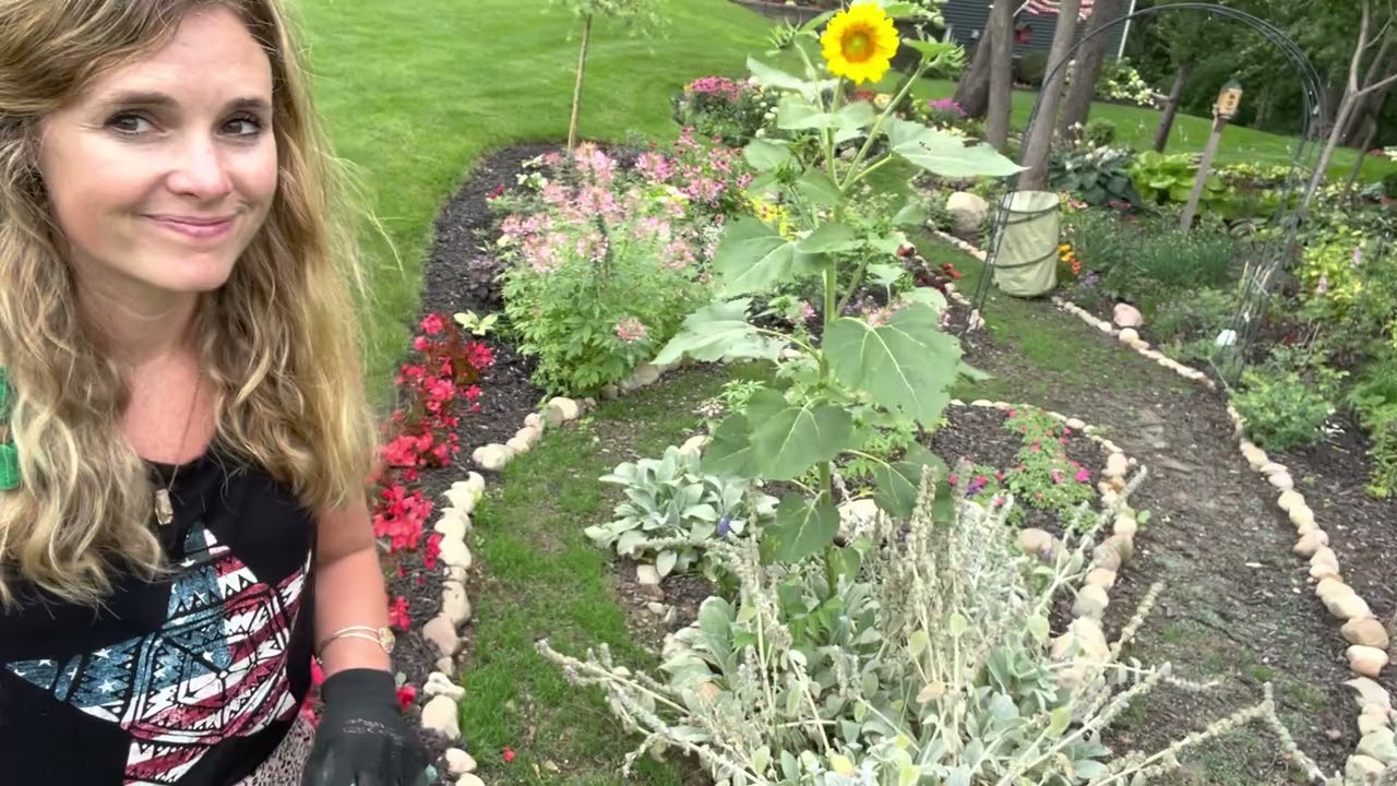 Regular garden maintenance on a Sunday afternoon! Cutting back, planting grass, and picking beans!