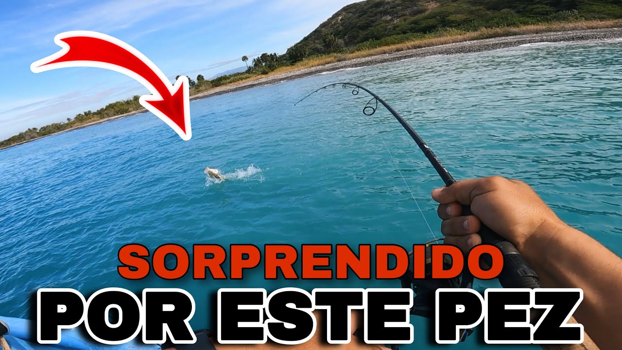 ESTE SPOT SIEMPRE TIENE ALGO PARA MI | PESCA MULTI ESPECIES EN EL MAR