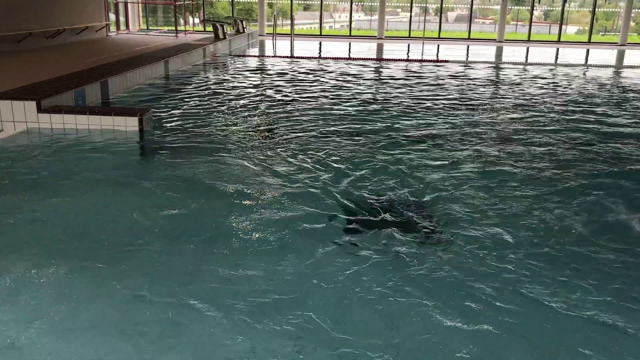 Malestroit. La piscine enfin ouverte