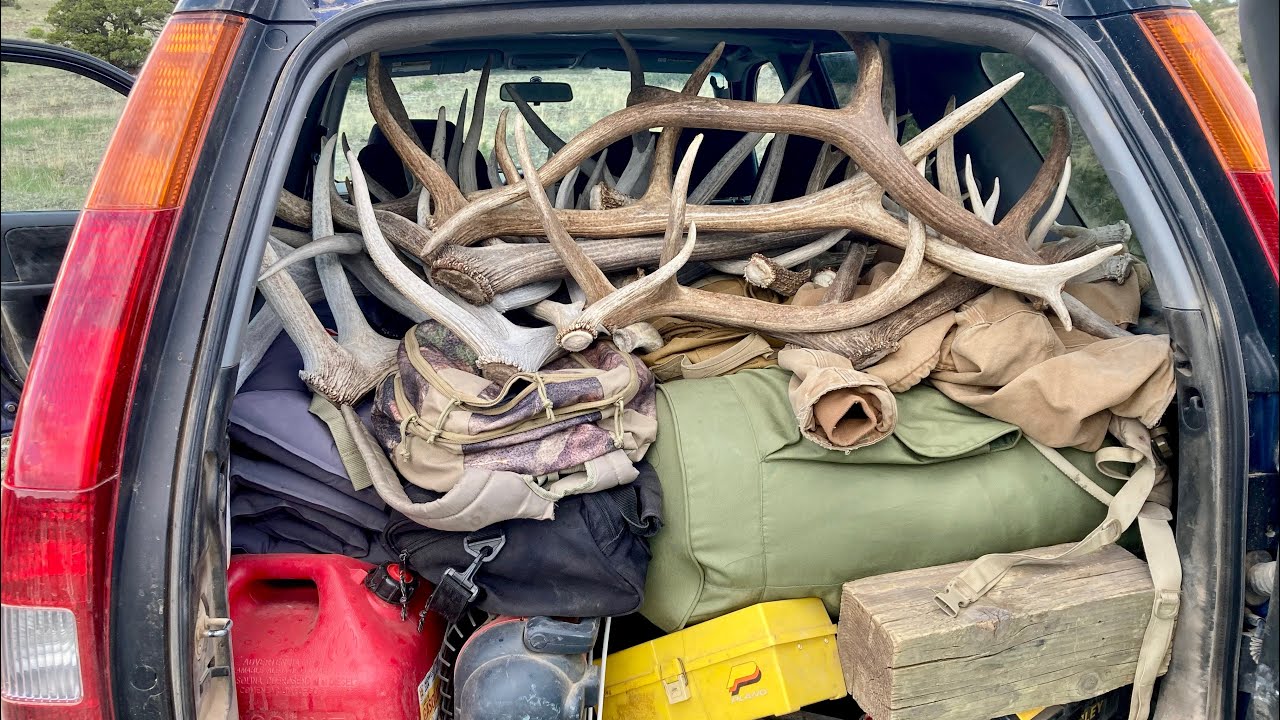 SHED ANTLER HUNT Colorado trip 2 pt3