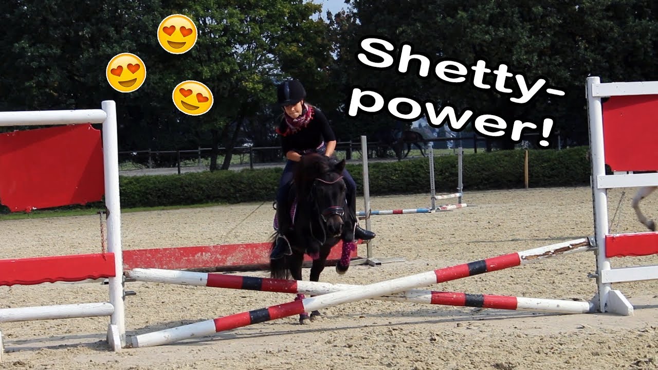 [FMA] Mein Shetty mit Springtalent! | Smarty ♥ | Marina und die Ponys
