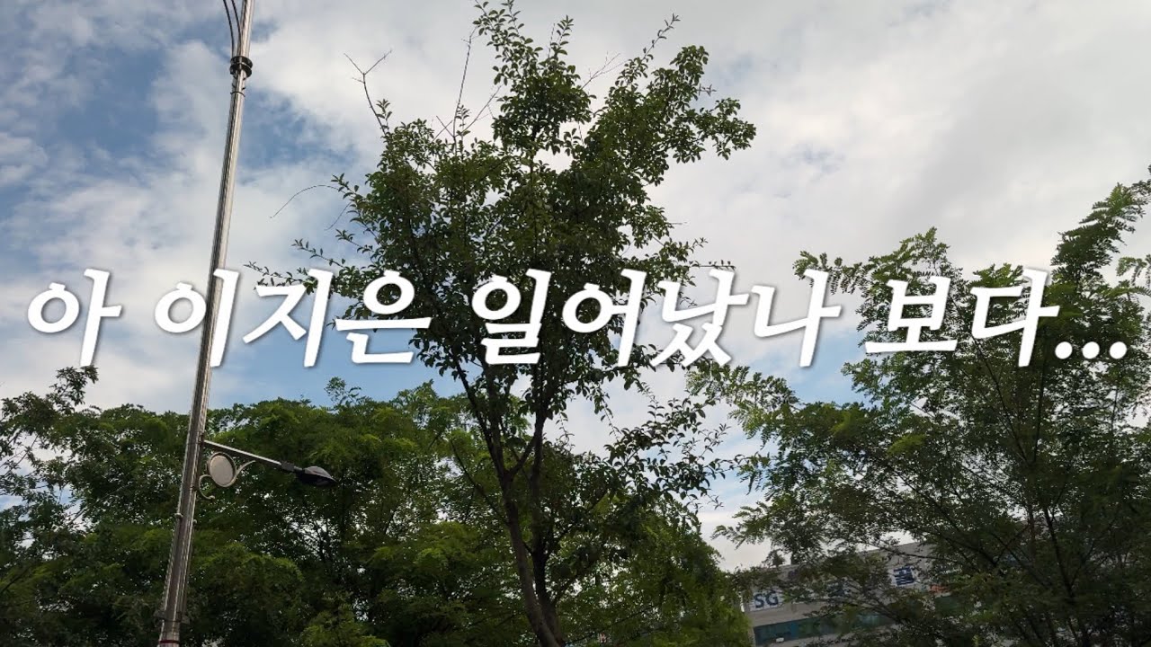 vlog, (타칭) 날씨 요괴