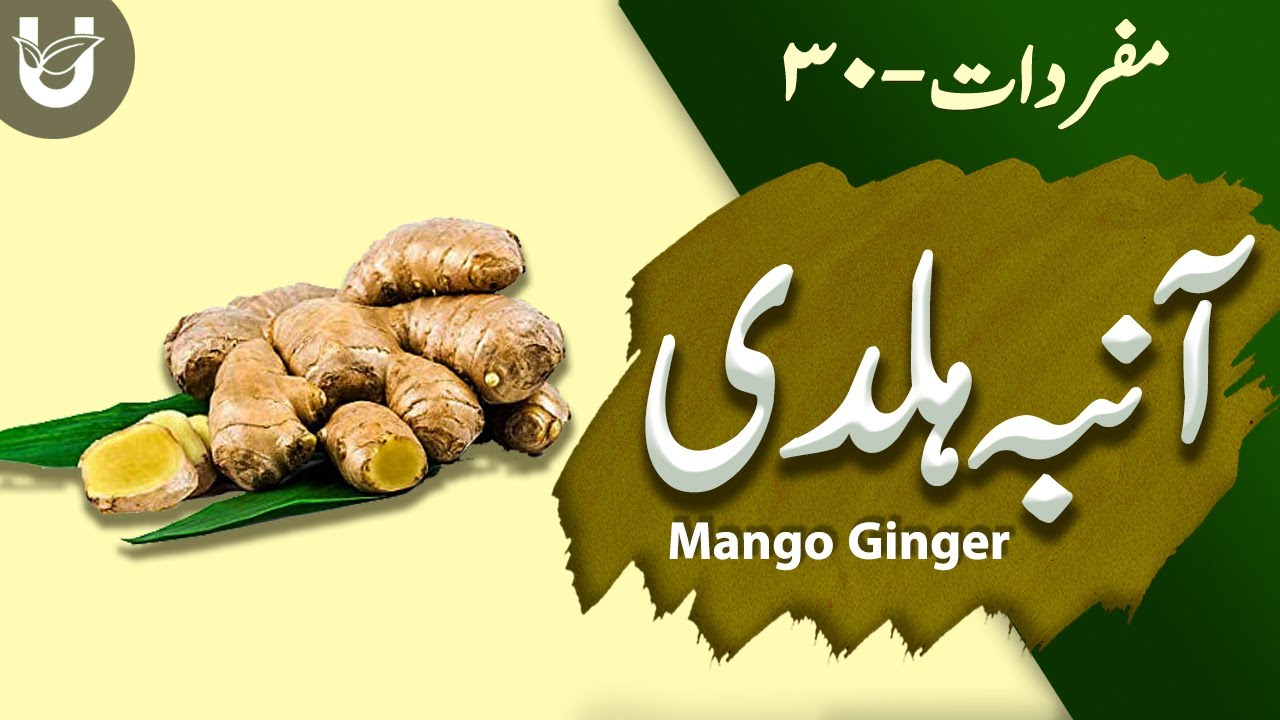 Aanba Haldi (Mango Ginger) | آنبہ ہلدی