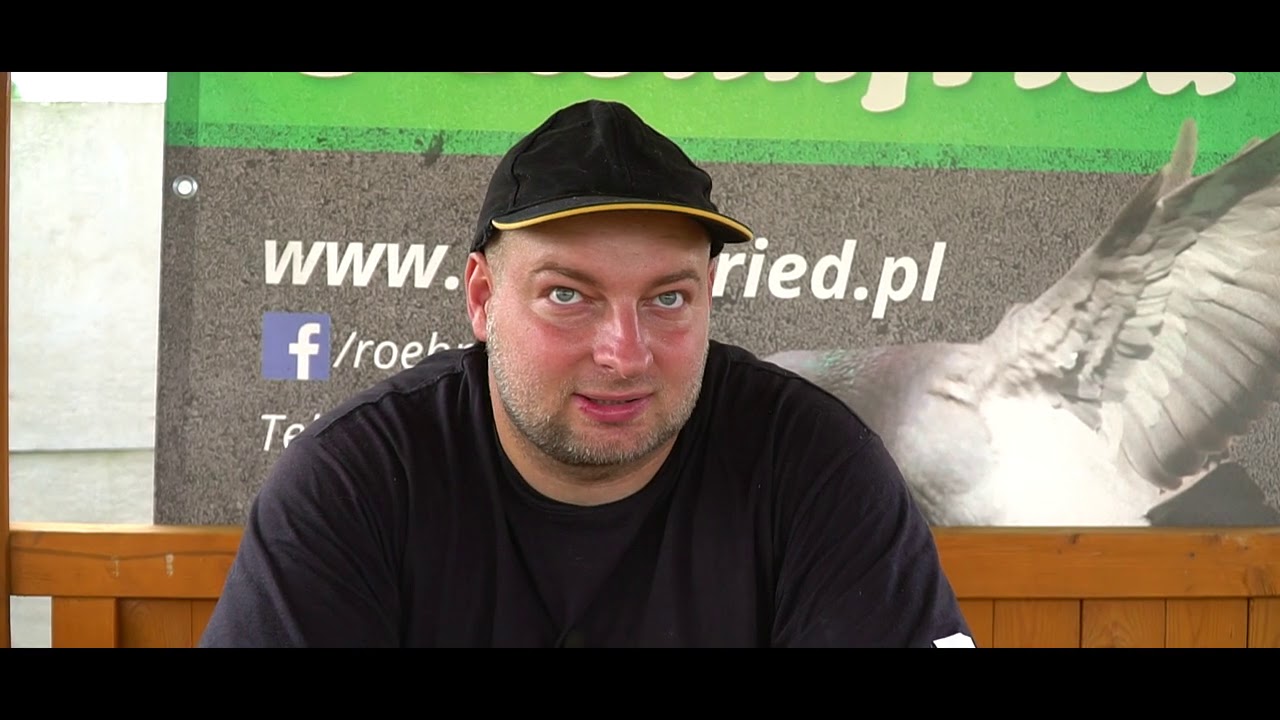 MOREL TEAM - NIEKONWENCJONALNA HODOWLA GOŁĘBI POCZTOWYCH