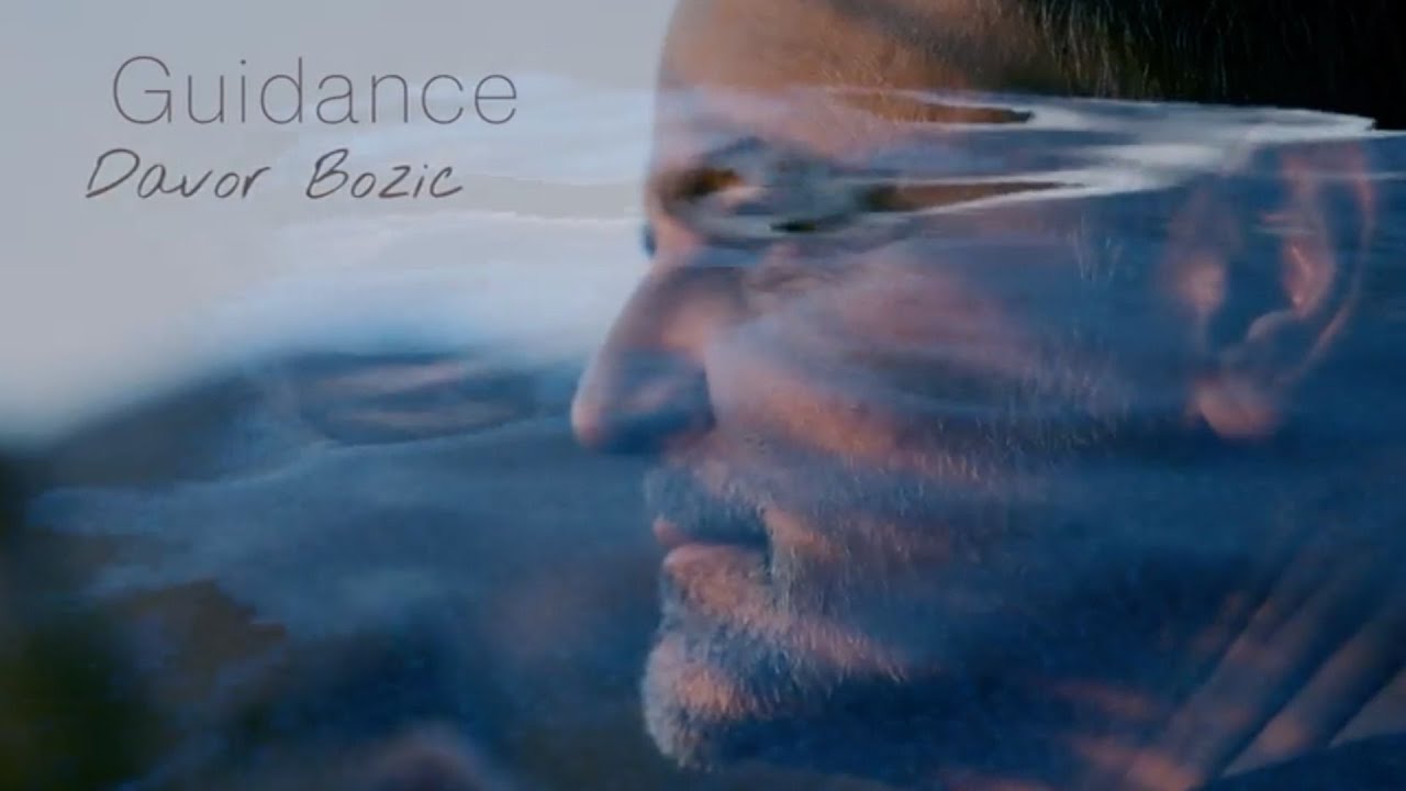 Guidance - Davor Bozic