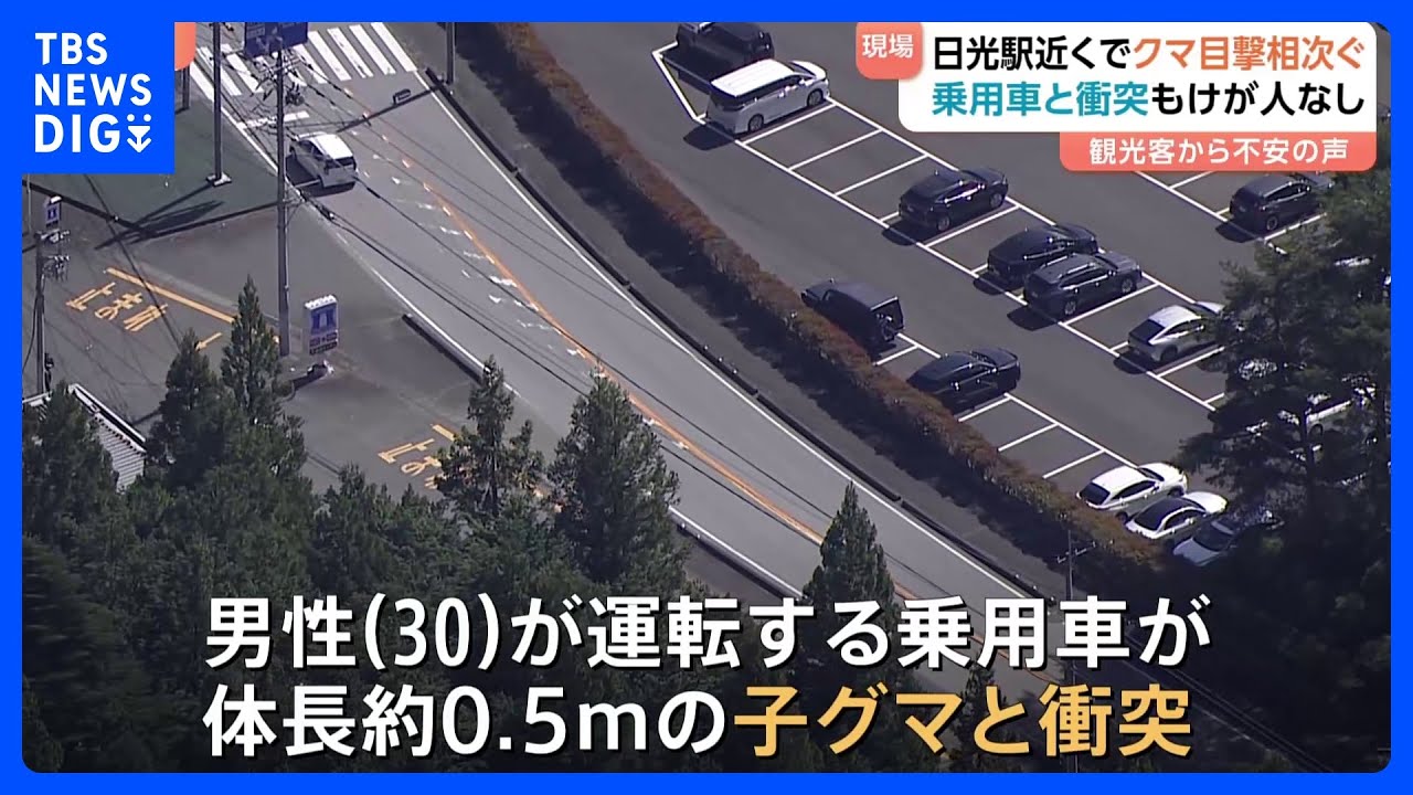 栃木・日光に&ldquo;サル&rdquo;ではなく&ldquo;クマ&rdquo;&nbsp;「人が多いところにも出るとは&hellip;」秋の行楽シーズンに親子グマなど目撃相次ぐ｜TBS&nbsp;NEWS&nbsp;DIG
