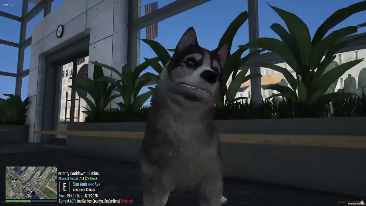 Blobber (Ash) Emily Runs for his life in GTA V RP MVRP EP 10