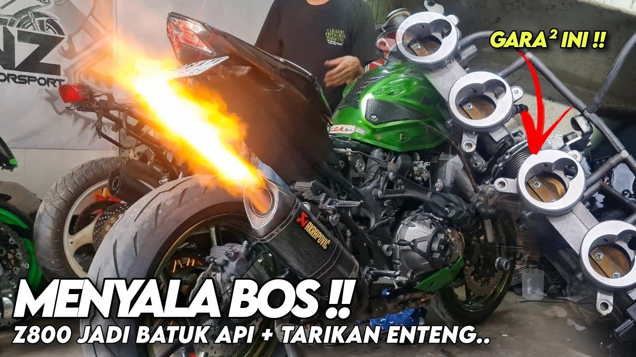 SERVICE Z800 | CLEANING THROTTLE BODY & PASANG KABEL LANGSAM BIAR NGACIR #bengkel #kawasaki #z800