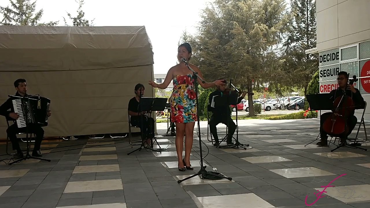 Fingida - La Fuga Canela
