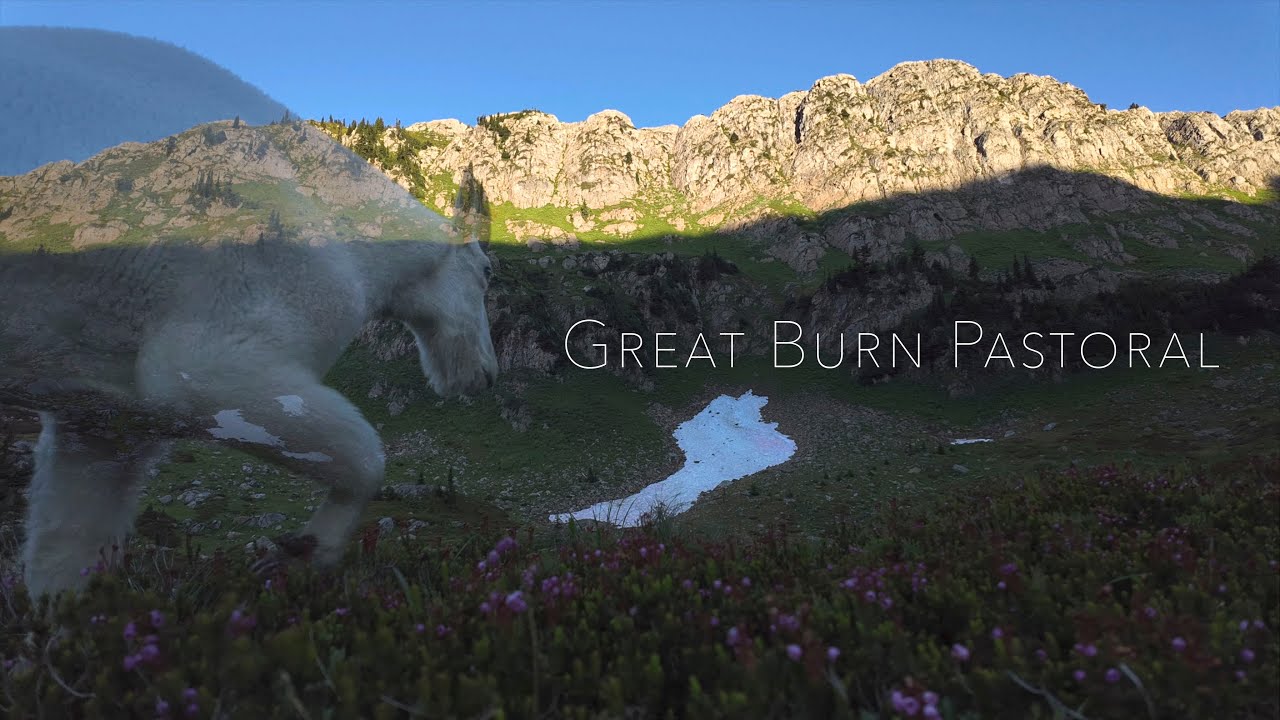 Great Burn Pastoral