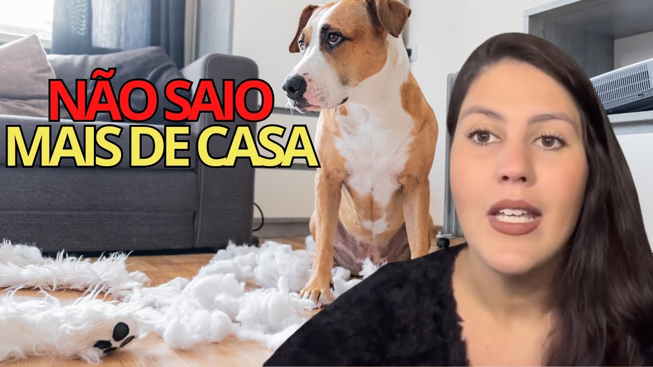 Ansiedade por separação, melhor usar remédio ou não? 
