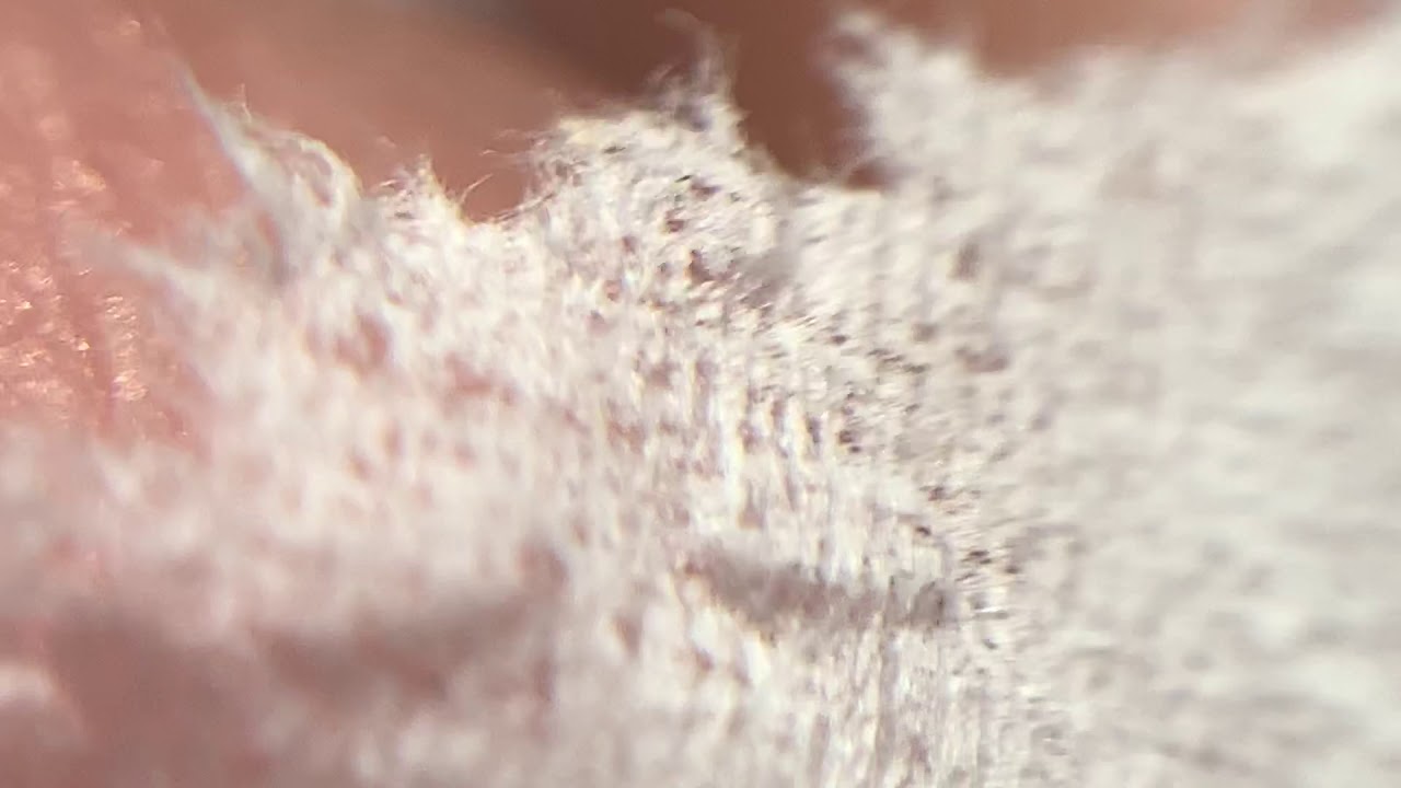soft paper under macro lens arms