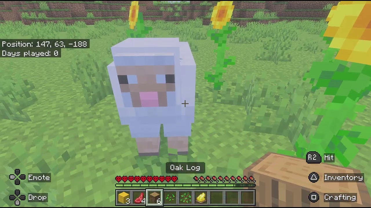 Minecraft First video