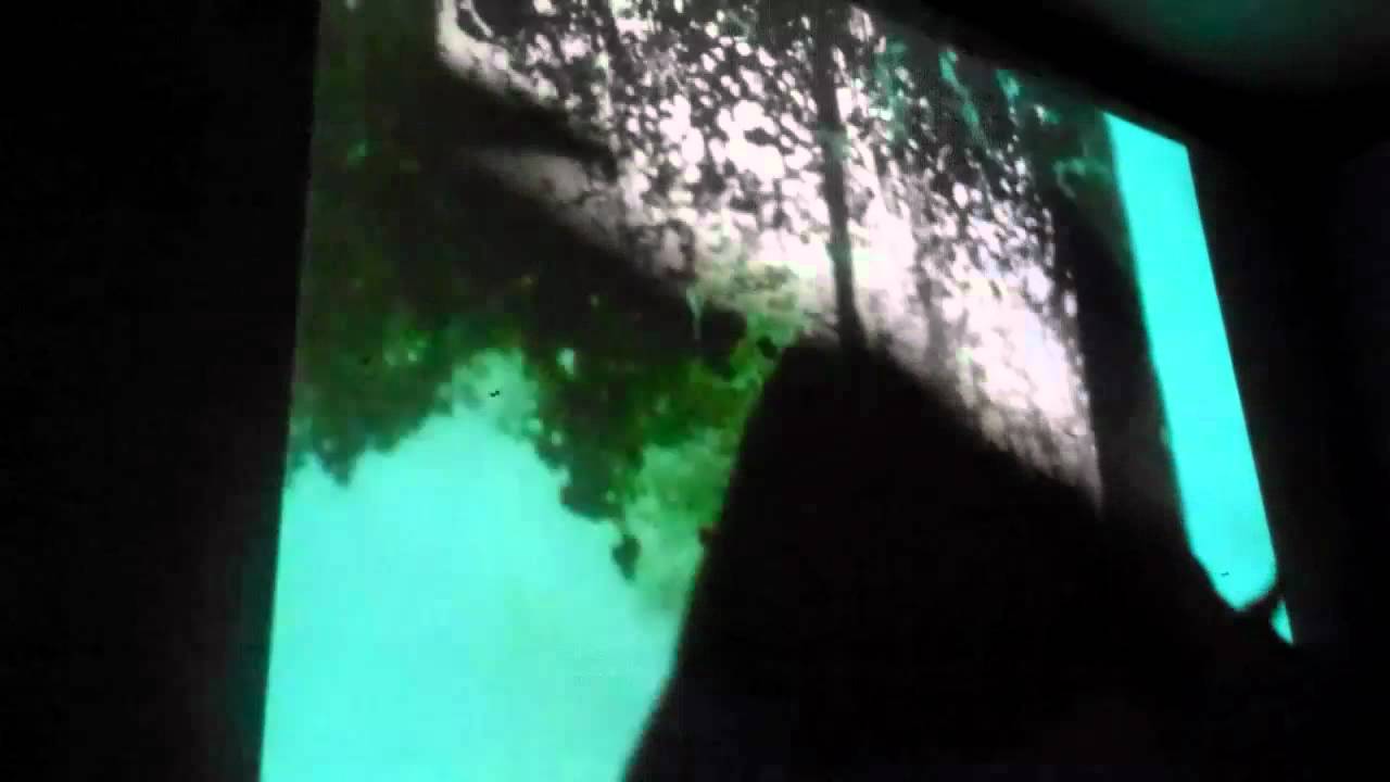 Dirk de Bruyn Performance - Film 3