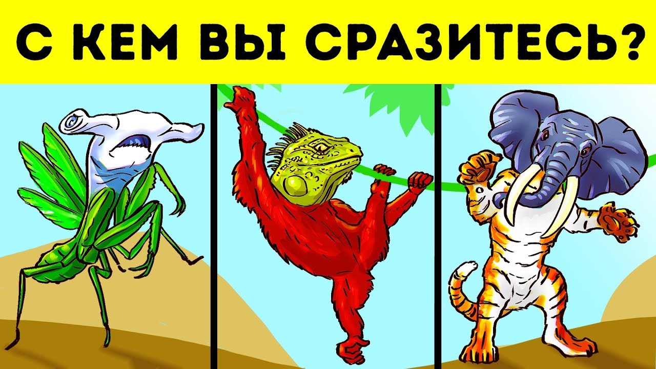 12 загадок, которые нужно решить, чтобы выжить