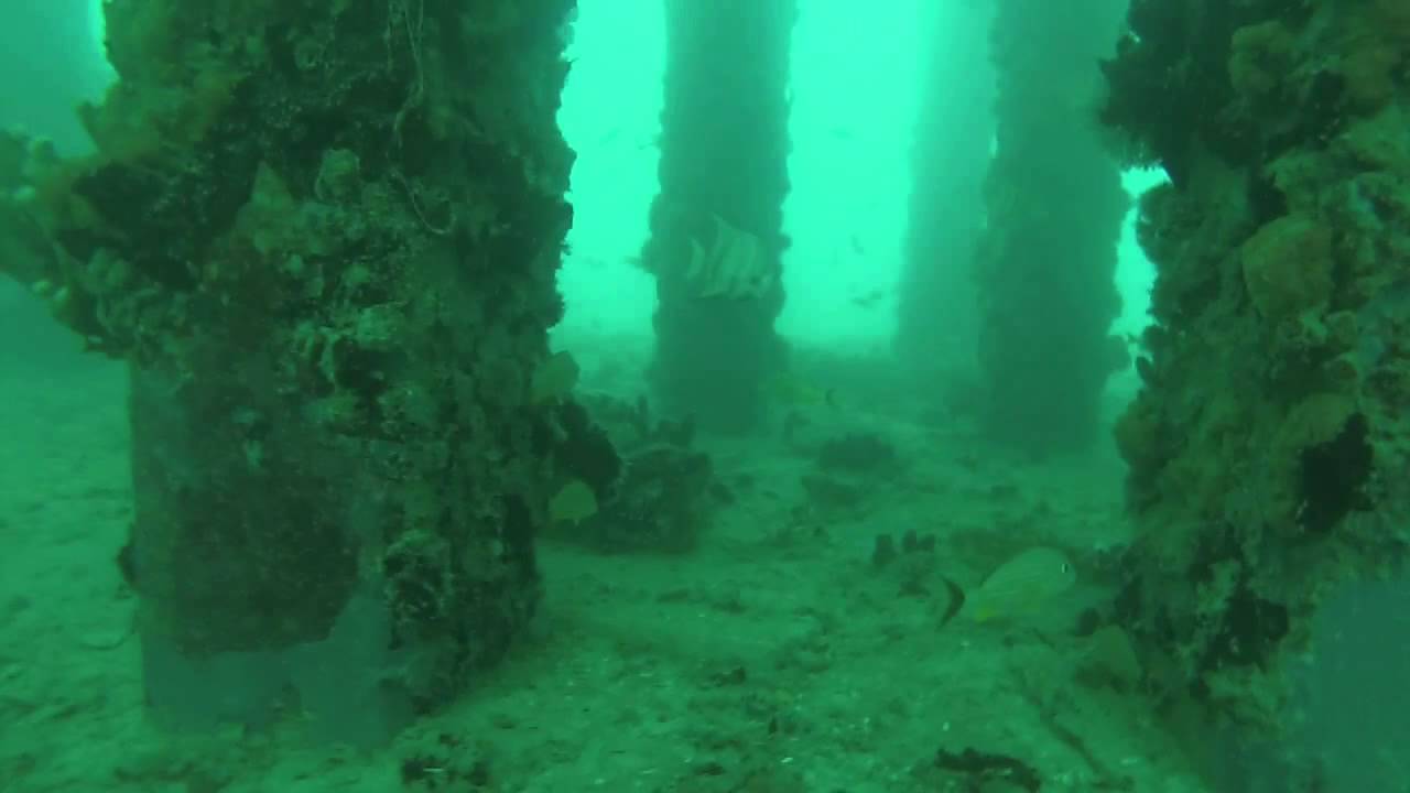 Mosquito Pier 04