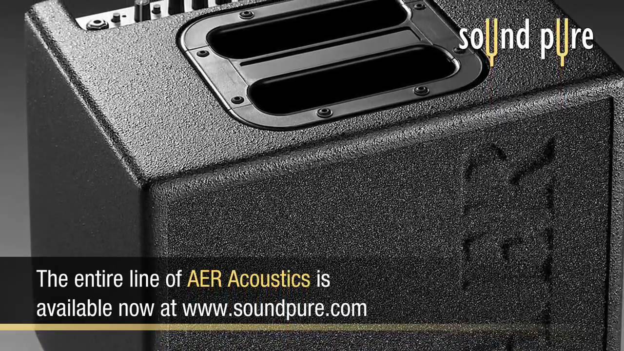 AER Amplification live at NAMM 2010