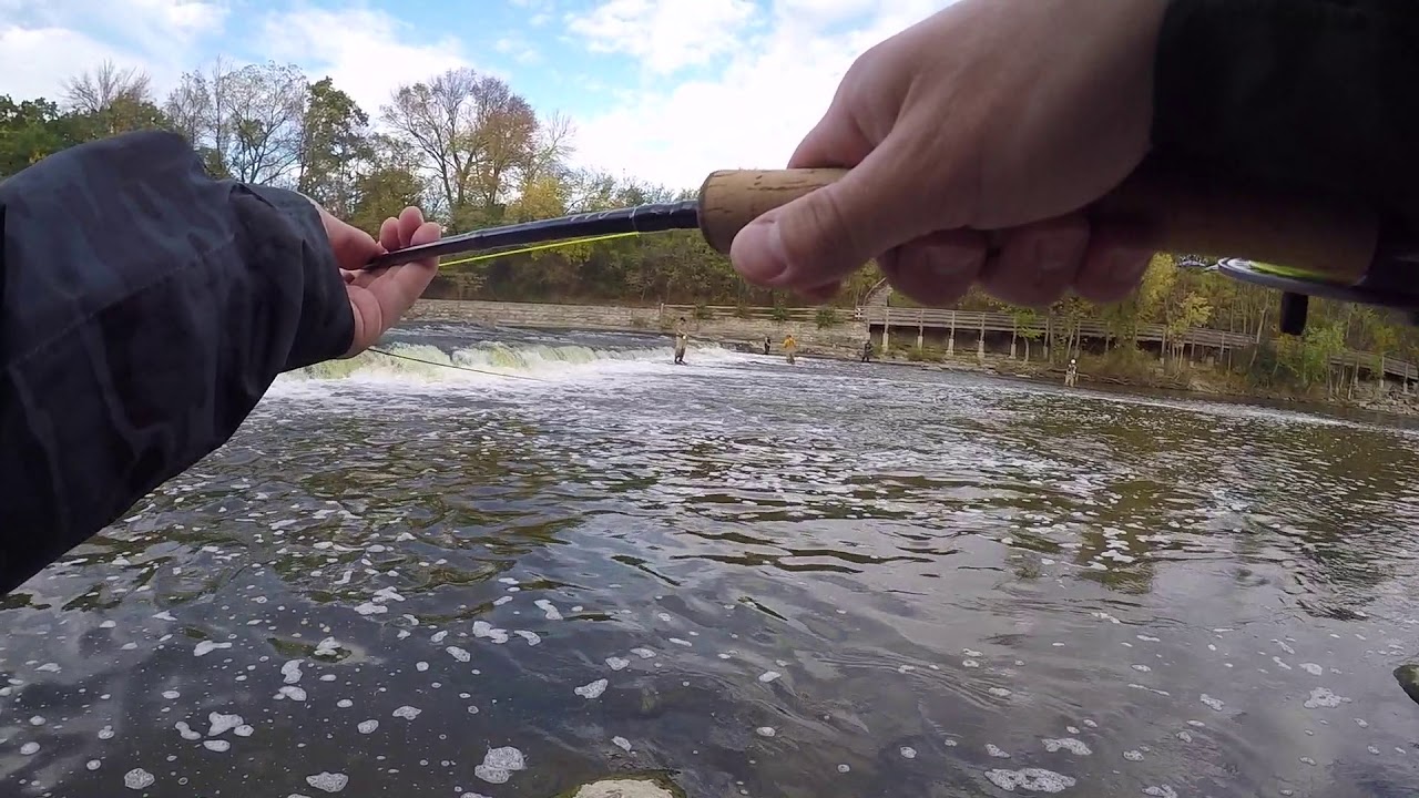 Fly Fishing for King Salmon in the Milwaukee River Fall 2017