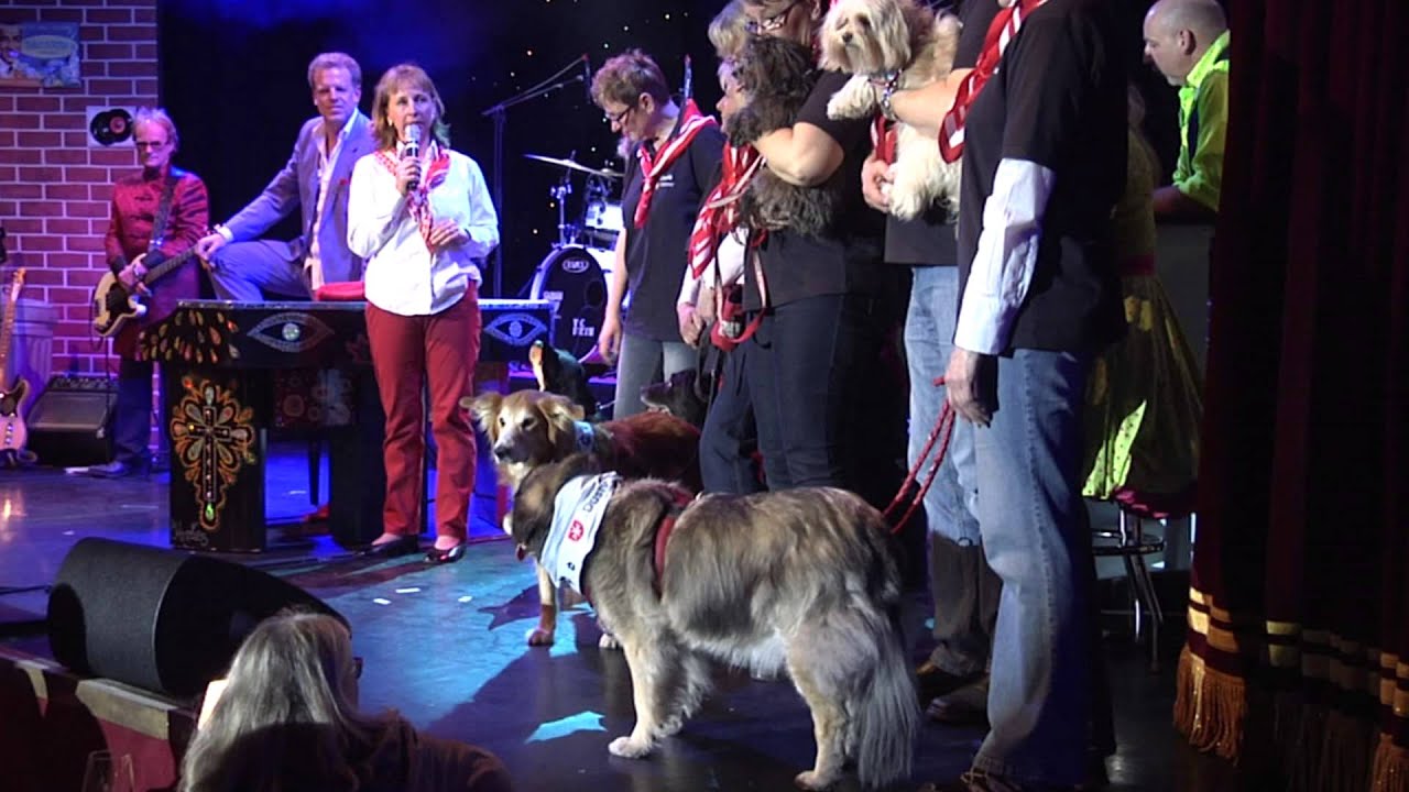 Sascha Klaar und die Malteser Besuchshunde aus Duisburg - 2015