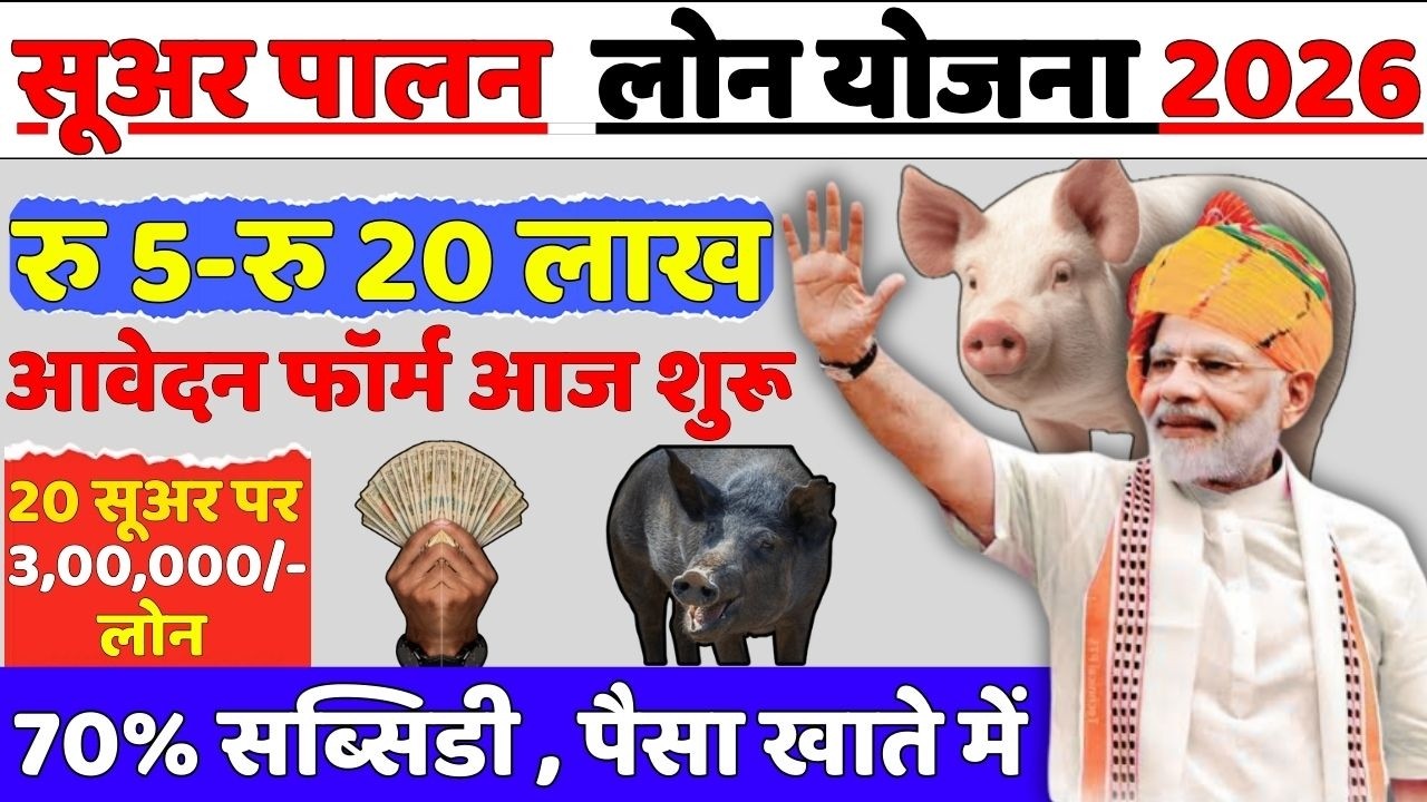 suar palan loan 2026 | सूअर पालन लोन कैसे ले | pig farming loan kese le | loan kese le?