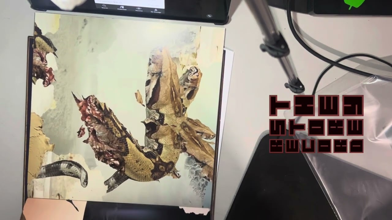 Bring Me The Horizon  - Sempiternal 2013 & 2023 Vinyl comparison