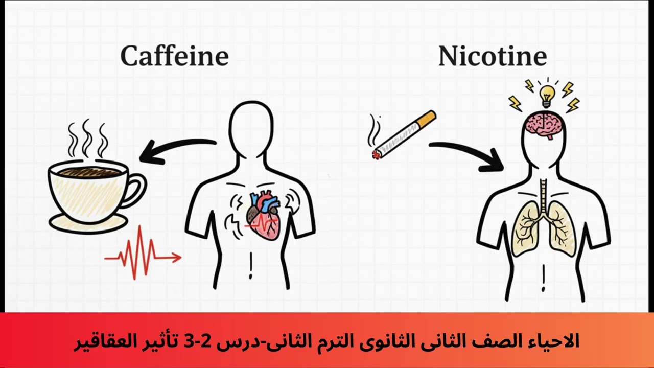 درس 2-3 تاثير العقاقير