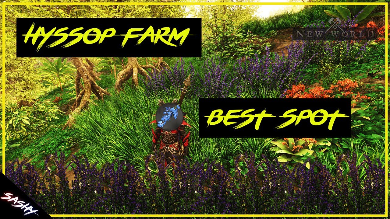 New World: Hyssop (Herb). 1K In 20 Min +????