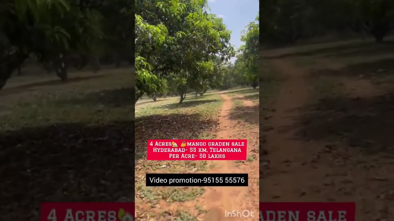 Farm Land for Sale ||, Sangareddy Hyderabad