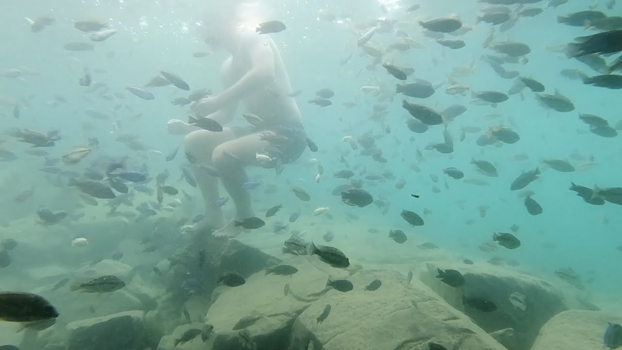 SWIMMING with the CICHLIDS in LAKE MALAWI
