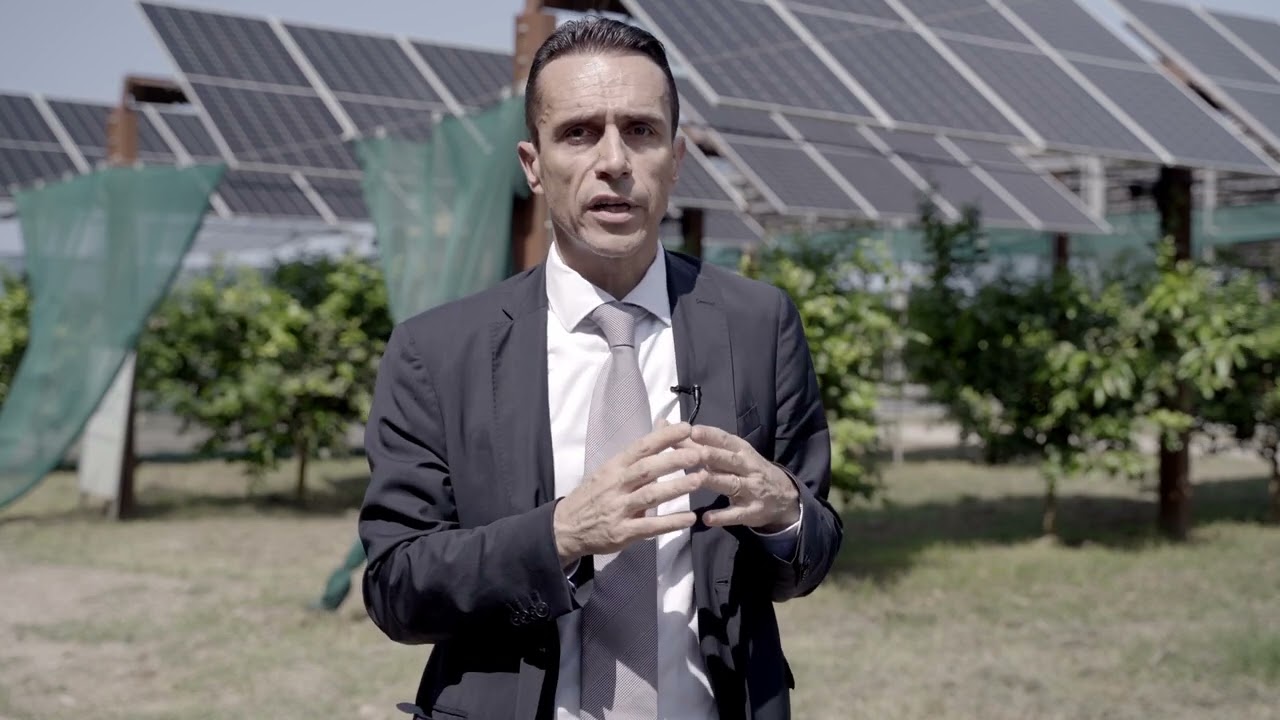 Agrivoltaico: Progetto ricerca con ENEA a Scalea - EF Solare Italia