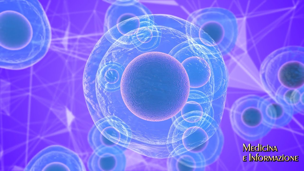 Medicina Rigenerativa:  cellule staminali e nutraceutica per un nuovo concetto di salute e benessere