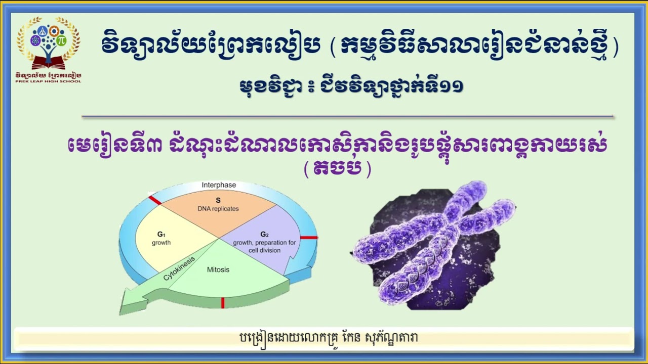 #មុខវិជ្ជាជីវវិទ្យាថ្នាក់ទី១១ #ជំពូក១កោសិកា #មេរៀនទី៣ដំណុះដំណាលកោសិកានិងរូបផ្គុំសារពាង្គកាយរស់(តចប់)