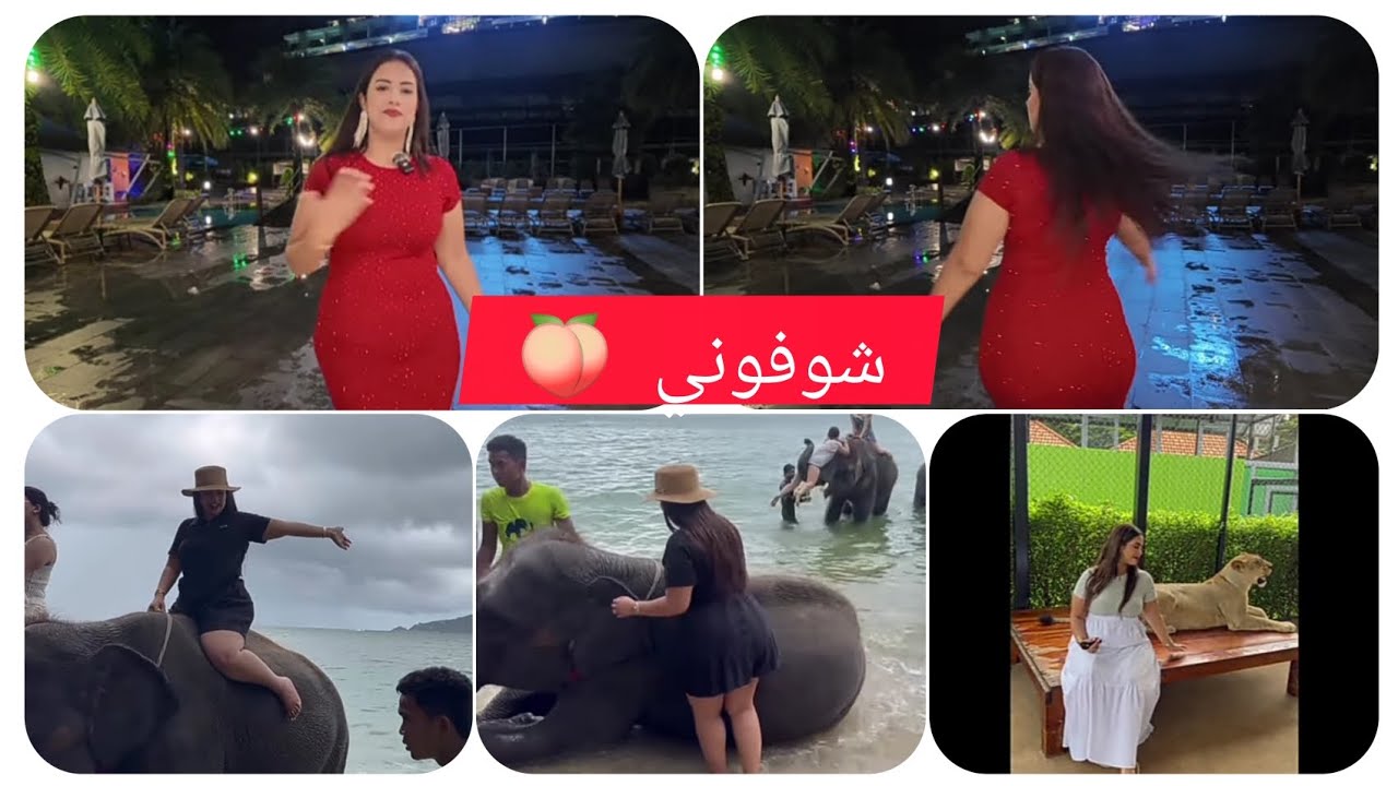 يسرى ستيل خلاوها بلا غدا وبلا فطور ❌معبروهاش تهلاو  ف المؤترات ⁉️😲