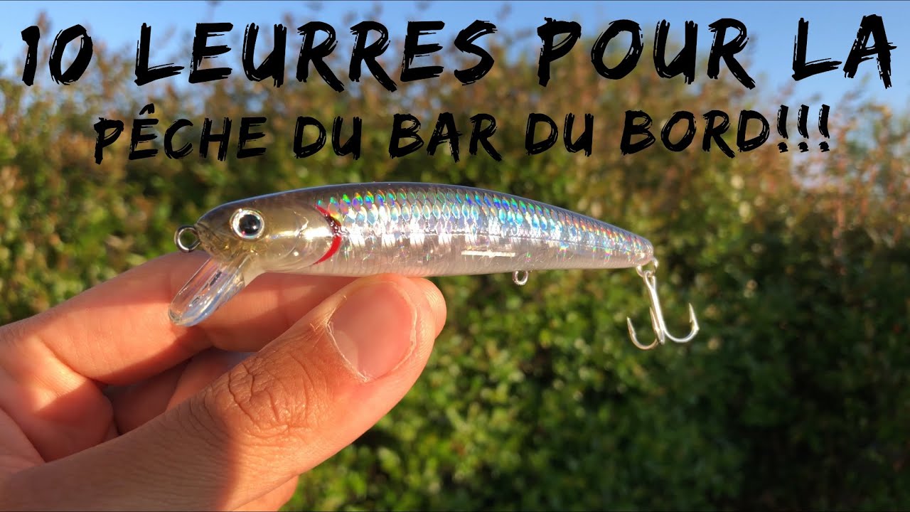 10 LEURRES pour la PÊCHE du BAR du BORD!!!