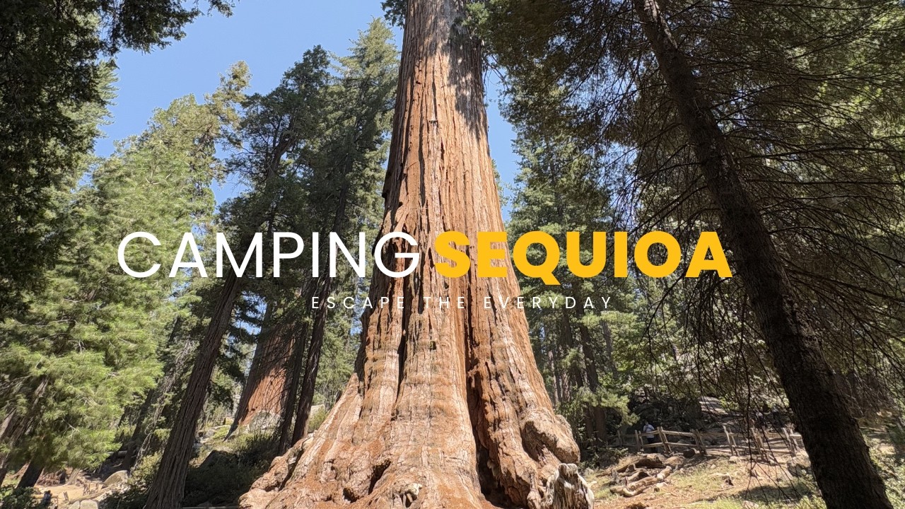 RV Camping in SEQUIOA PART2