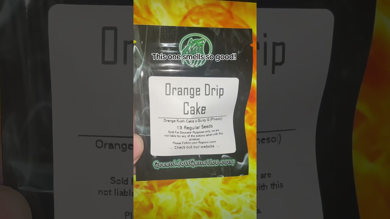 Orange drip cake - Orange kush cake x Guicy G (Pinesol)