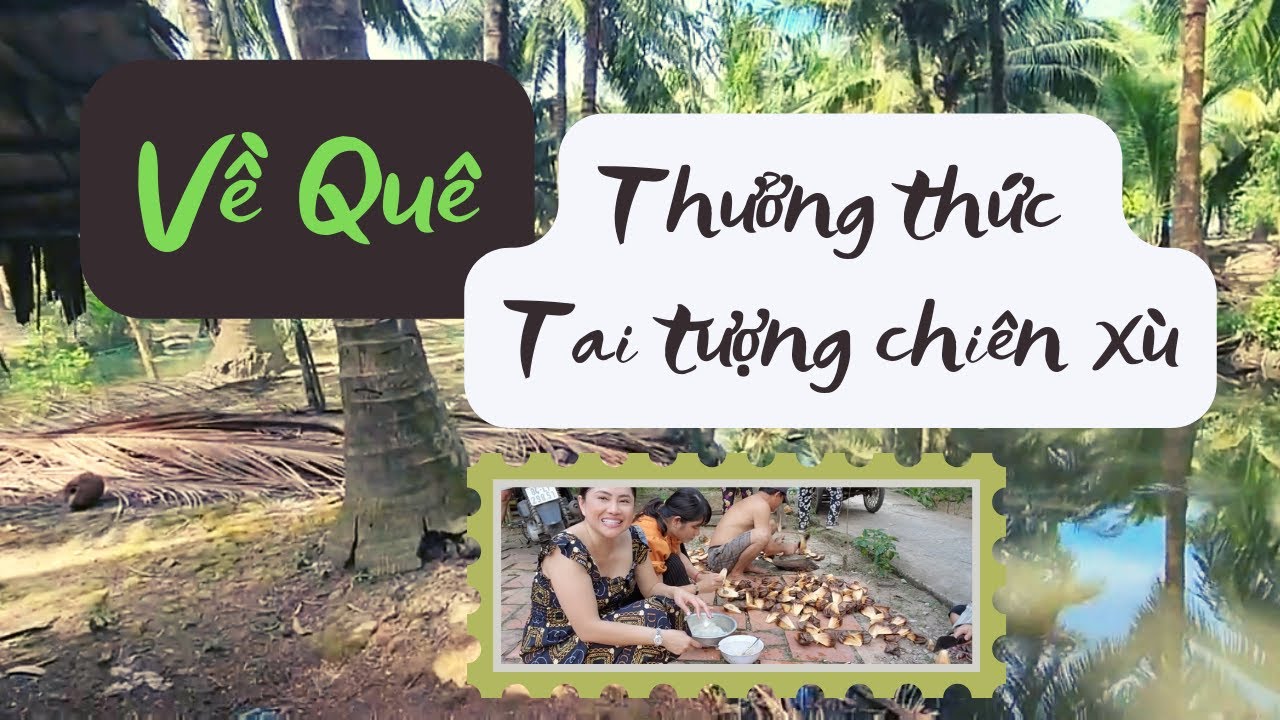 Vlog 116  Về quê Miền Tây | Được ăn cá Tai Tượng chiên xù, Dừa nước ướp đường, ngon nhức nách