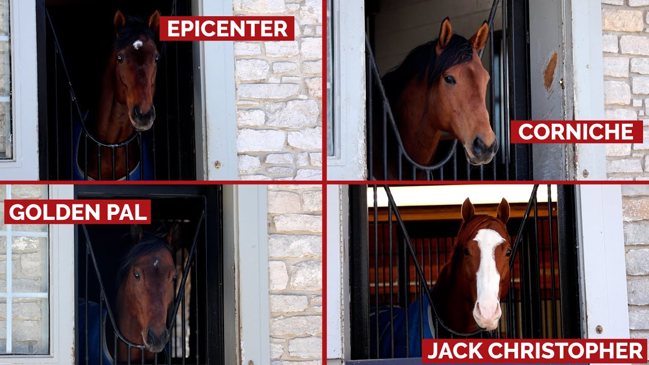 Charlie O'Connor Explains Why Breeders Should Consider Coolmore's Third-Year Sire Quartet