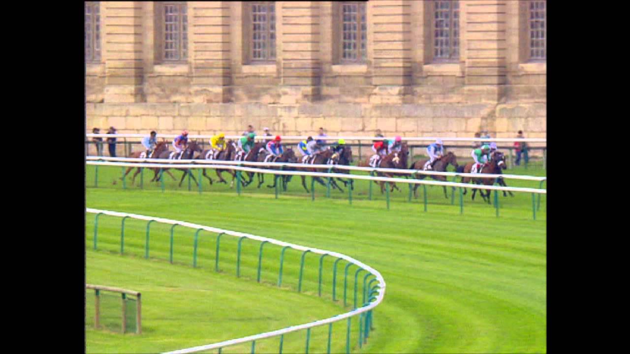 Zarkava - Prix de Diane 2008