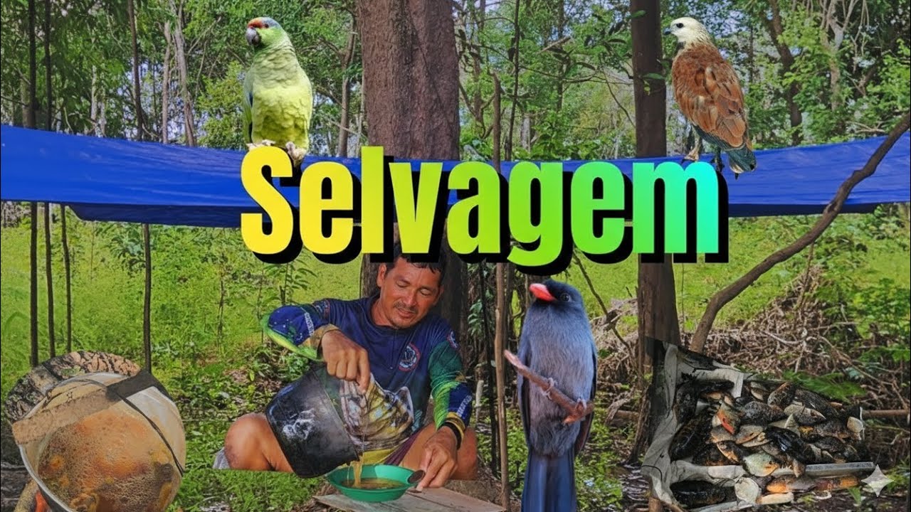 ACAMPEI EM UM LUGAR SELVAGEM ONDE EXISTE MUITOS PÁSSAROS E MUITOS PEIXES. E CALDEIRADA TOP 
