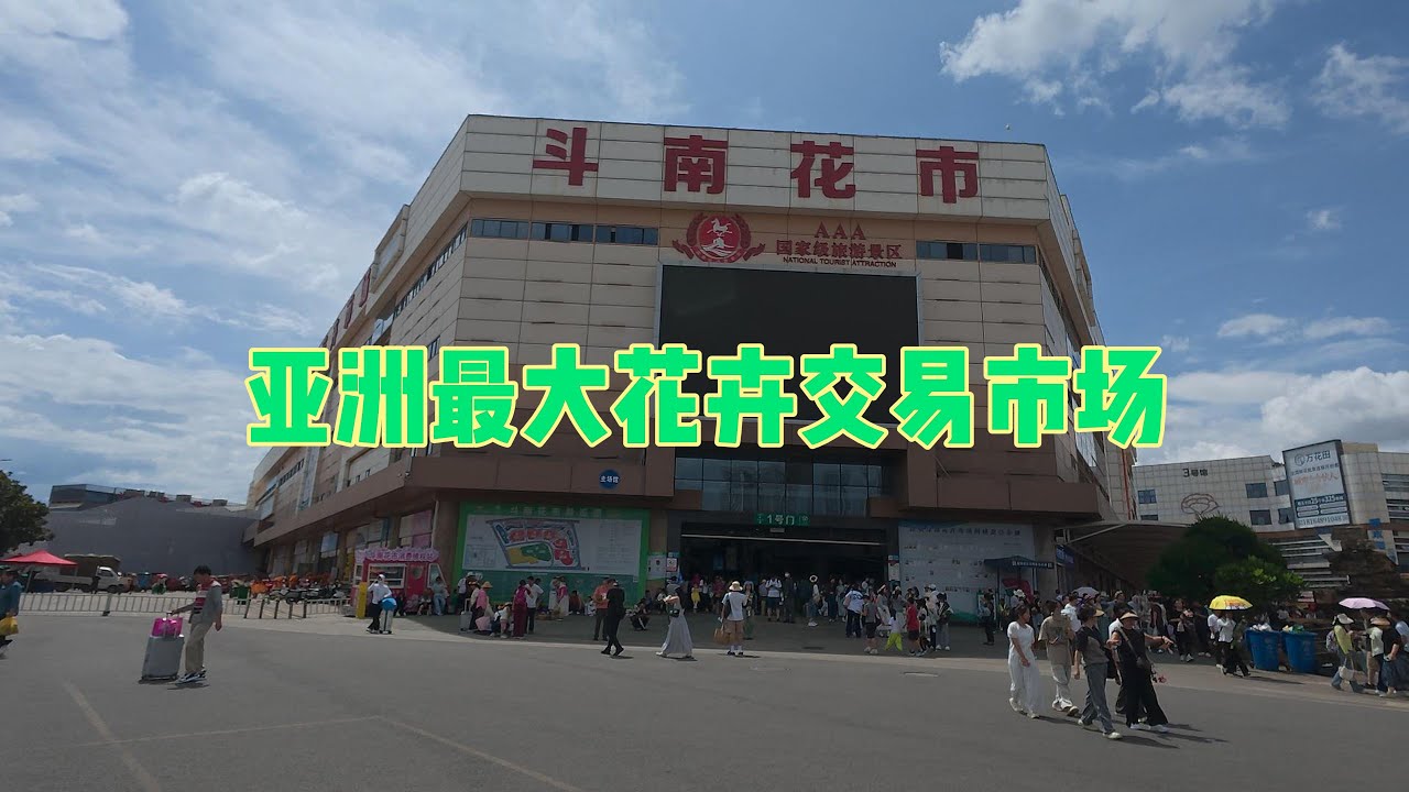 漫步亚洲最大的花卉批发市场，我进入了花的海洋。A documentary about strolling through Asia's largest wholesale flower market.