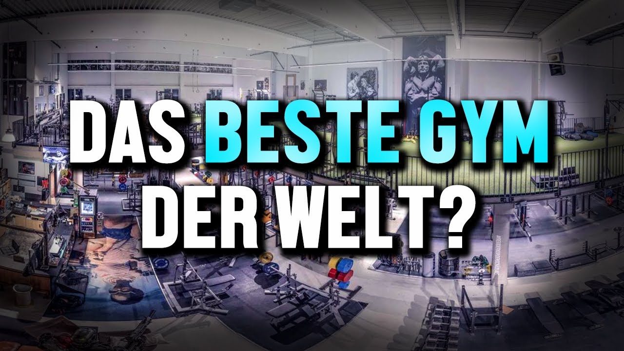 Zu Besuch im DAS GYM Wien