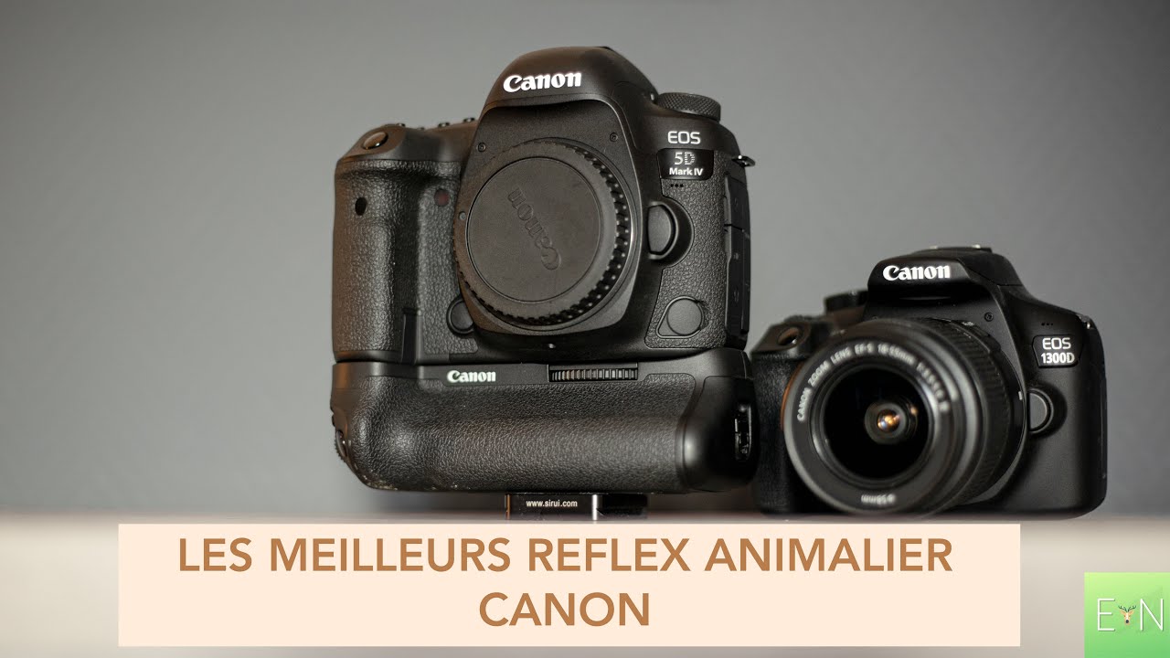 LES MEILLEURS BOITIERS CANON POUR L'ANIMALIER !