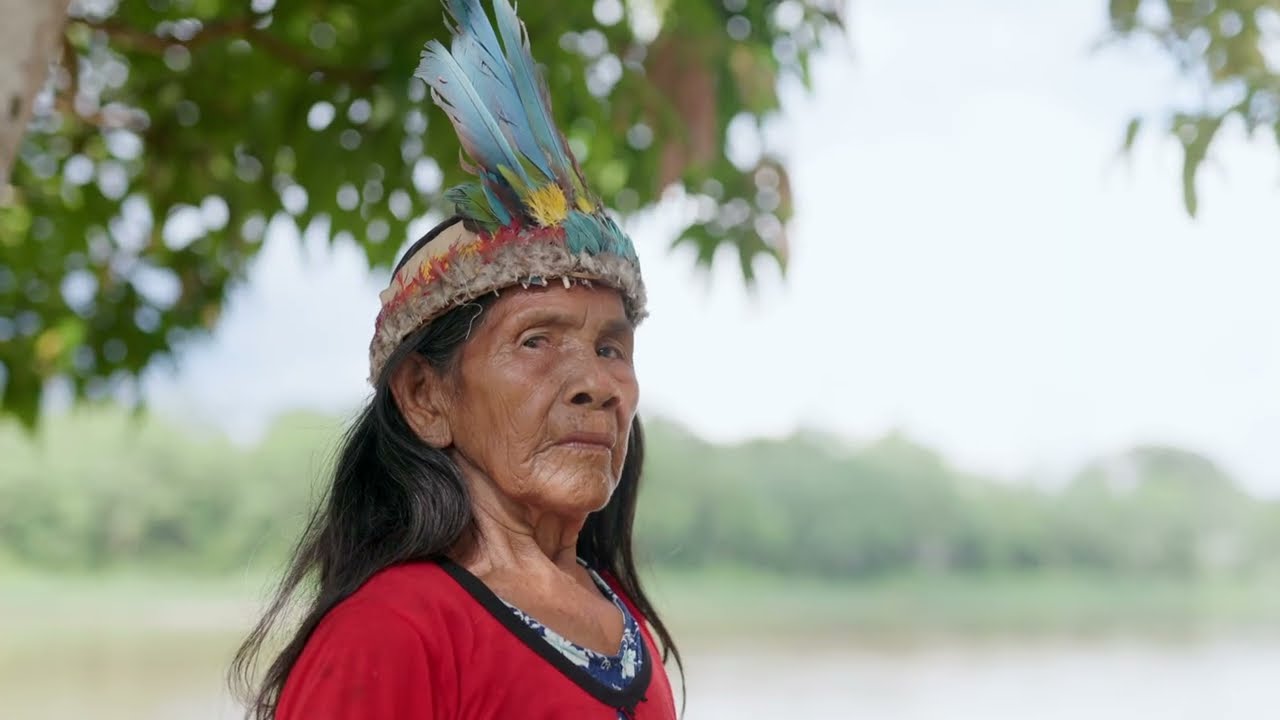 🌿 Parque Nacional Yaguas: un tesoro natural en la Amazon&iacute;a peruana 🌿