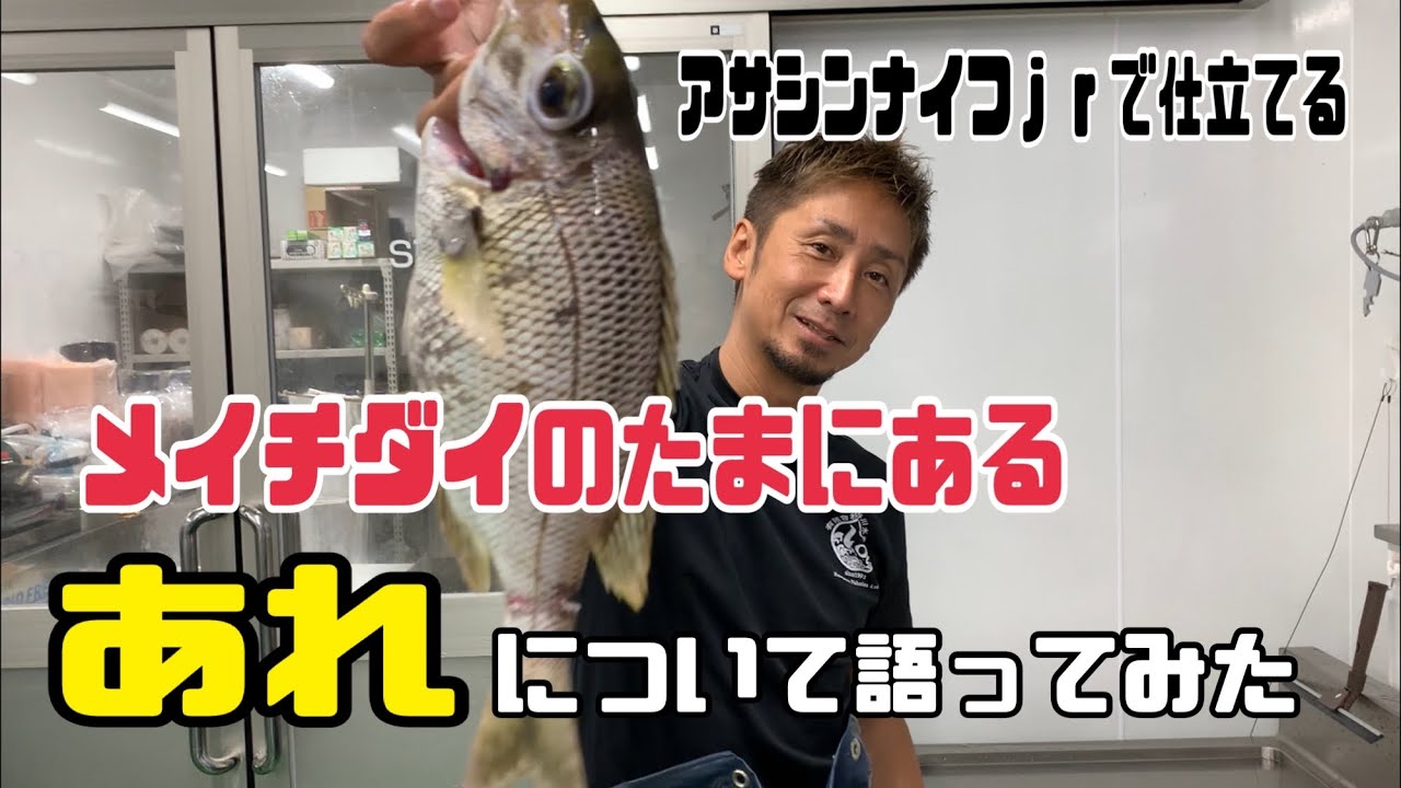 メイチダイのたまにある【あれ】について語ってみた編 vol.368