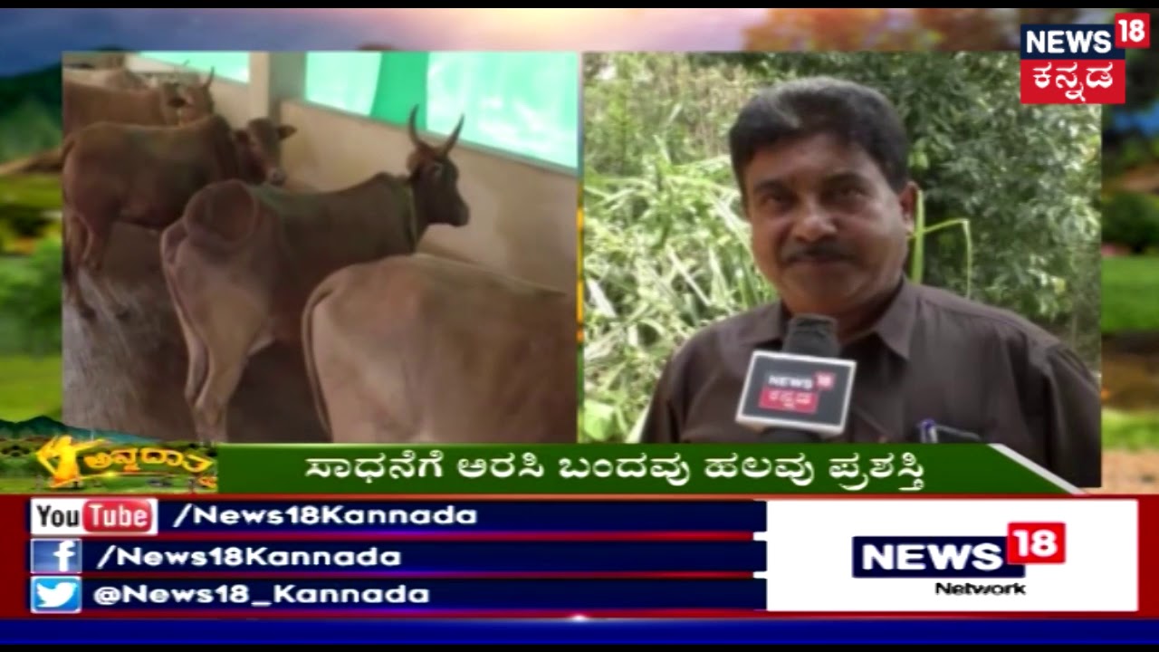 ಅನ್ನ ದಾತಾ | Desi Cow Protection And Profit Making..! | Mar 31, 2019