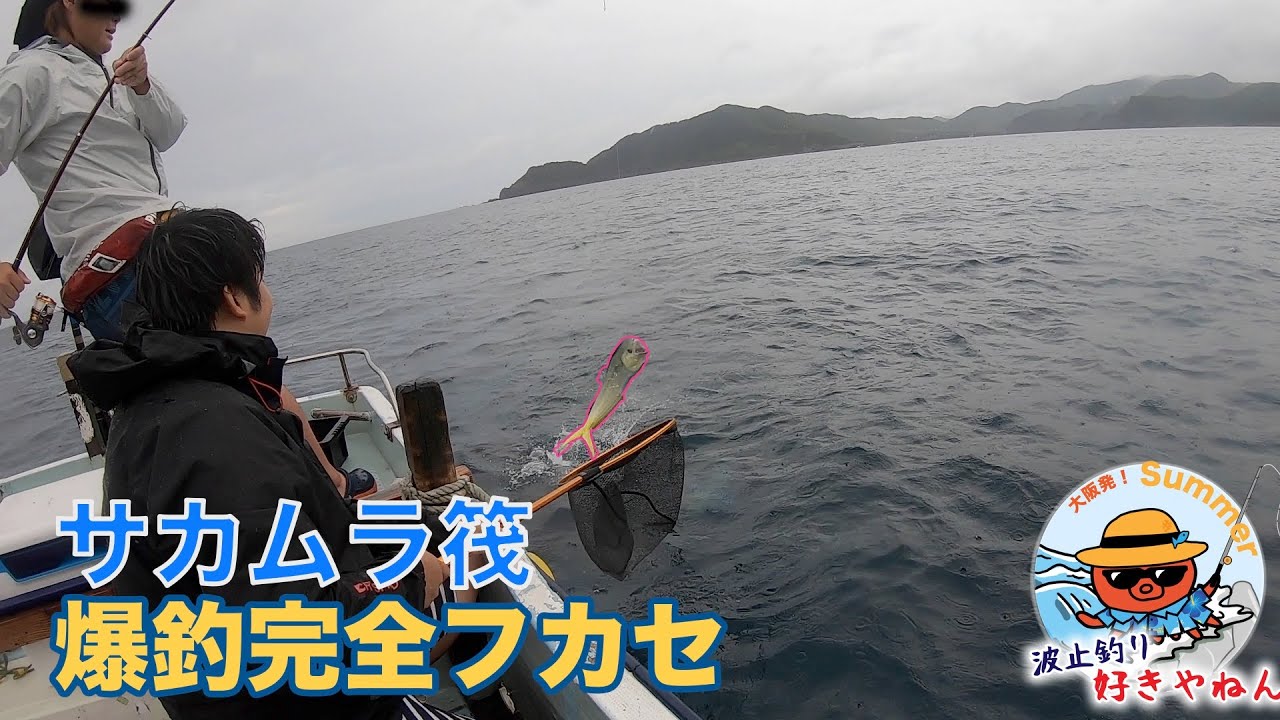【さかむら筏】完全フカセでカツオが爆釣【カセ釣り】