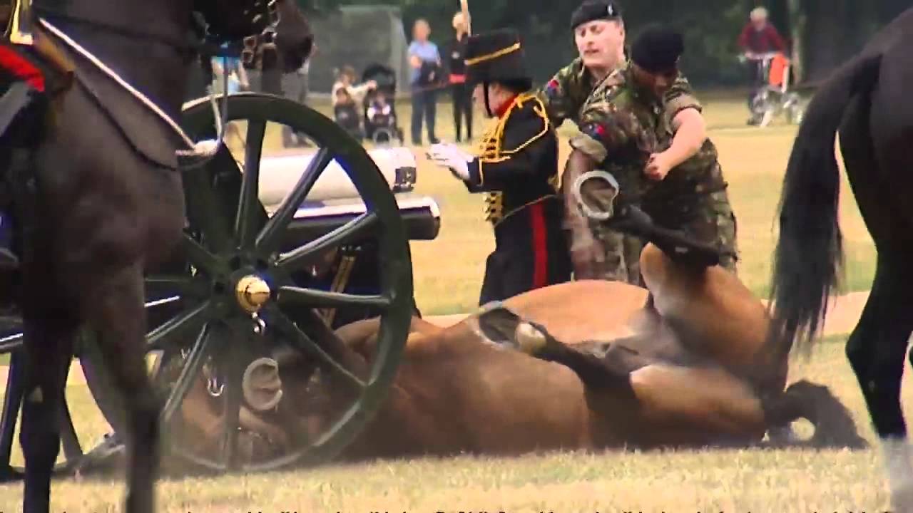 Horse injury cancels Queen's 41-gun salute