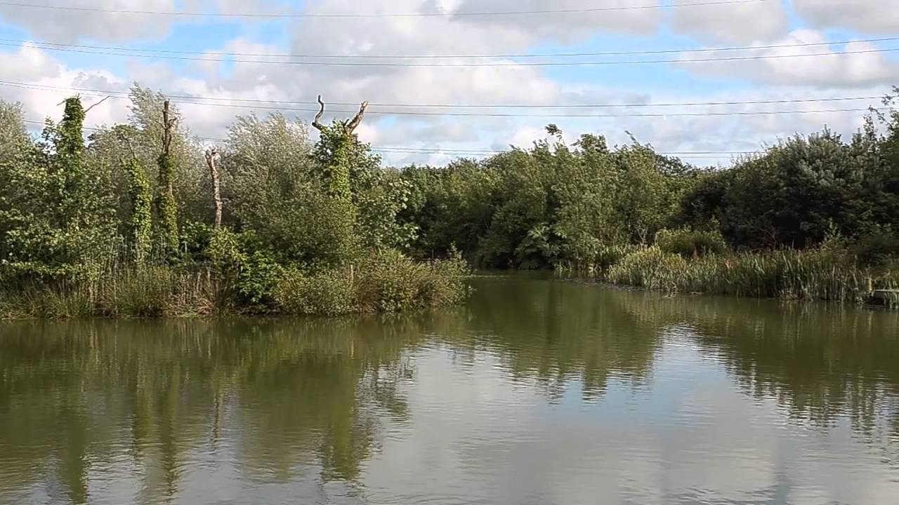 FURZEBRAY LAKES, SOUTH MOLTON, DEVON