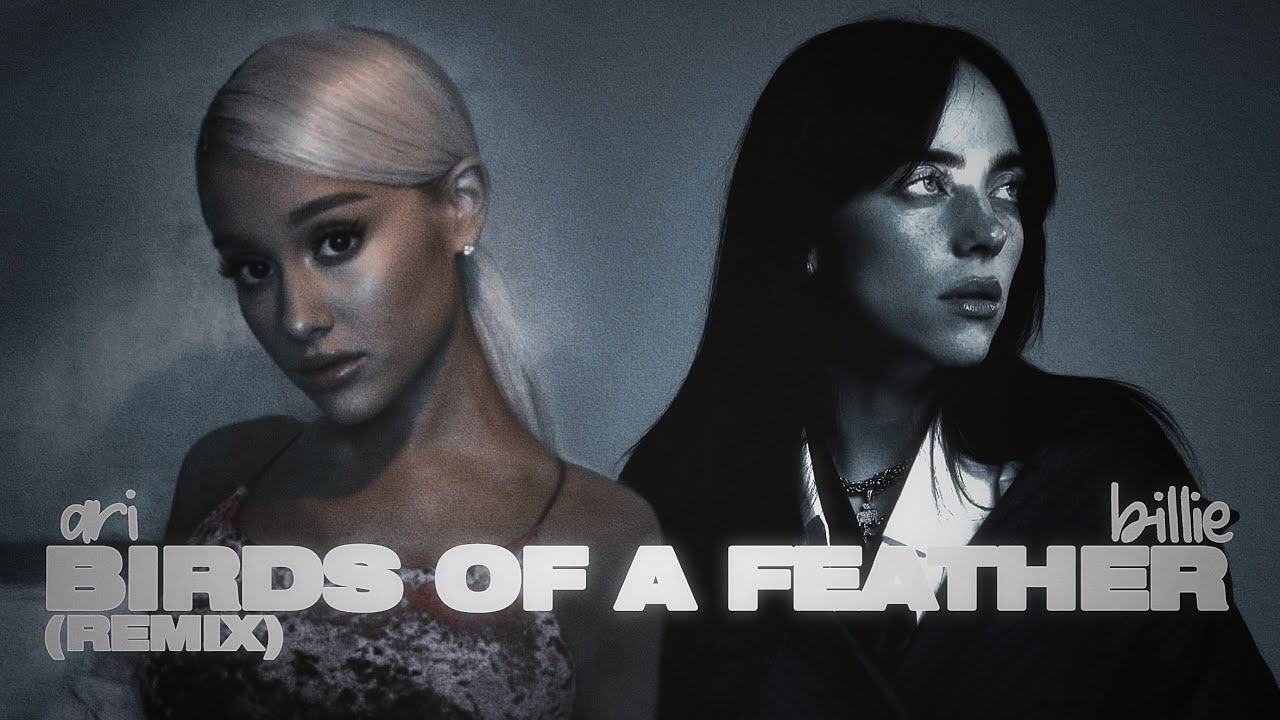 Billie Eilish, Ariana Grande - BIRDS OF A FEATHER (Remix)
